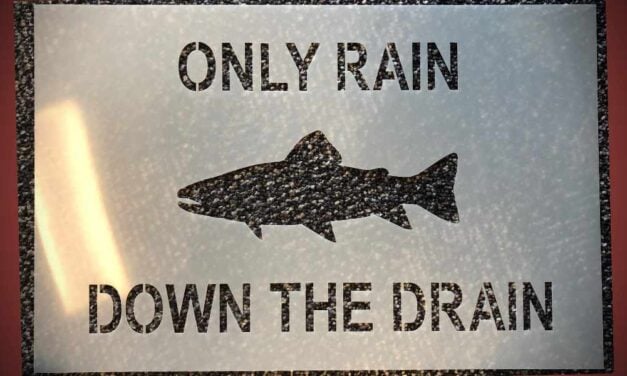 King County urges eligible homeowners to apply for stormwater discount